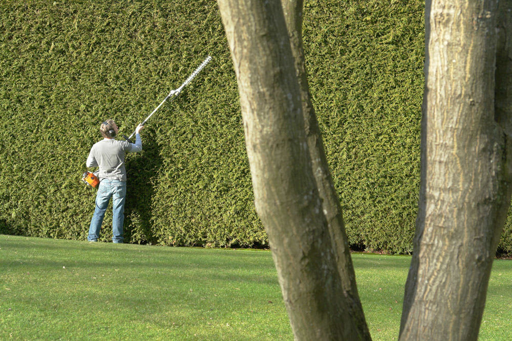 Hedge Cutting