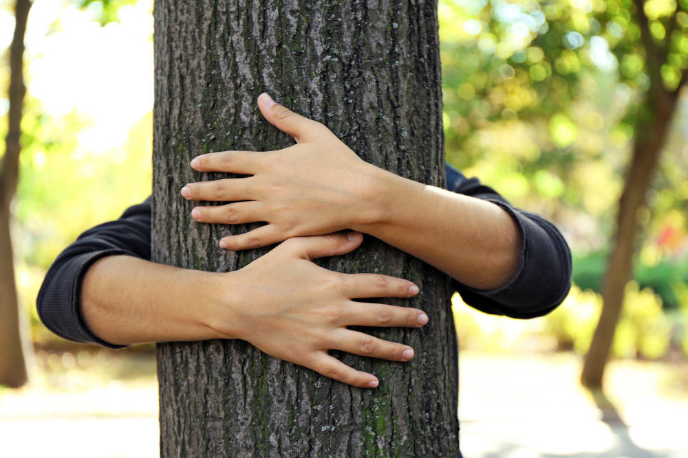 Our environmental policy